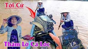 Tới Cử Thăm Lờ Cá Lóc Miền Tây Mùa Nước Nổi 