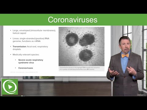Video: Nuværende Epidemiologisk Status Af Koronavirus I Mellemøsten Respiratorisk Syndrom I Verden Fra 1.1.2017 Til 17.1.2018: En Tværsnitsundersøgelse