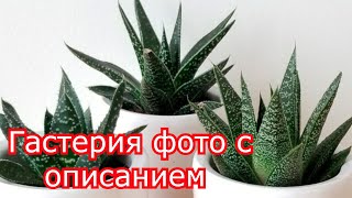 :        ,   