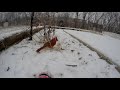 Gopro snow bird feeder Timelapse