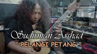 PELANGI PETANG - Sudirman Arshad cover (Guitar in Romantic)