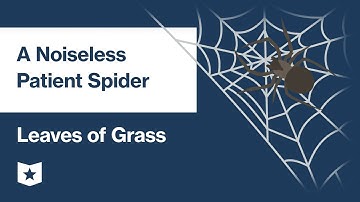 Leaves of Grass by Walt Whitman | A Noiseless Patient Spider