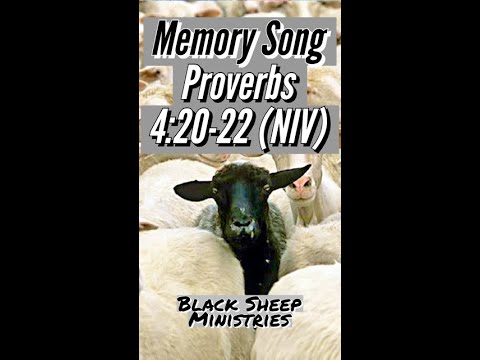 TOP 20 Best Loved Disco Tracks (80s/90s) | Romantic Disco Songs Vol. 4 (Official Music Video)