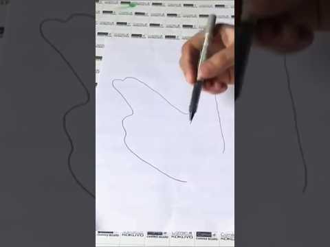 Handy Palm Art