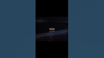 قَالَ لَا تَخَافَاۤۖ - سورة : طه - Ṭā-Hā - الجزء : ( 16 ) - الصفحة: ( 314 )