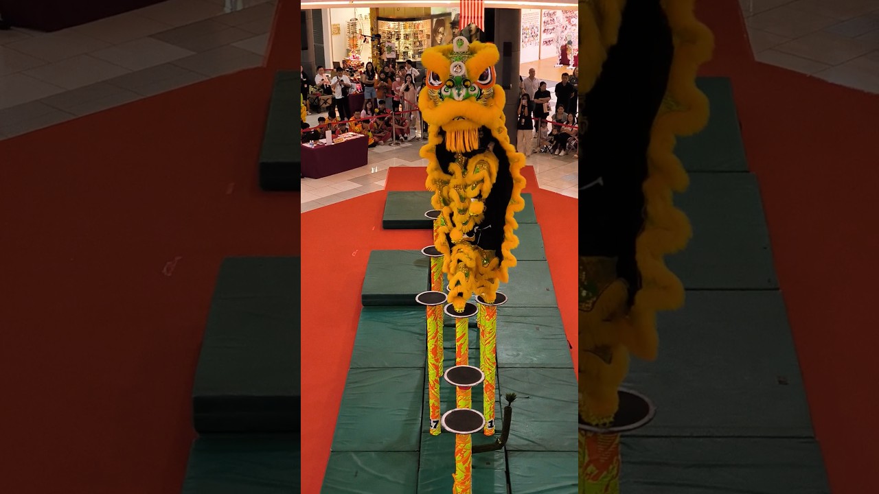 LION DANCE Competition 2025 