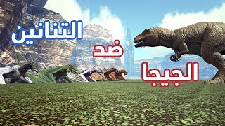 أرك سيرفايفل Ark Survival | الجيجا ضد كل التنانين