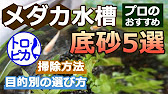 メダカ水槽のおすすめ底砂5選 底砂は目的別に選ぼう 掃除方法も解説 Youtube