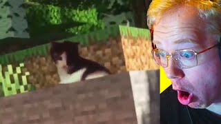 Unusual Memes. screenshot 4