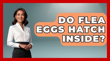 Do Flea Eggs Hatch Inside? - Insects and Invaders