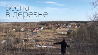 Встречаю весну в деревне: простая жизнь в окружении природы, цветущий лес и радость первого урожая