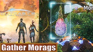 Outcast A New Beginning Gather Morags