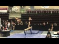 Lundyn vandertoolen 2017  westerns championship  beam