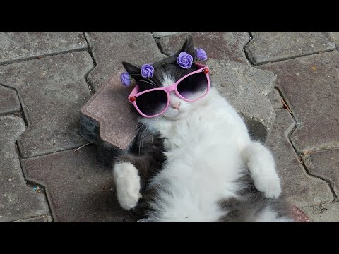 HOUSE CHILL Weekend LIVE Mix