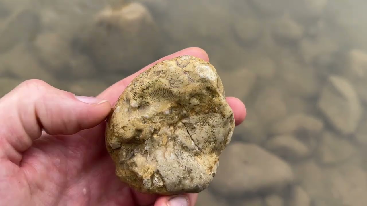 Вскрываем жеоды халцедона! Поиск минералов в горах Кавказа