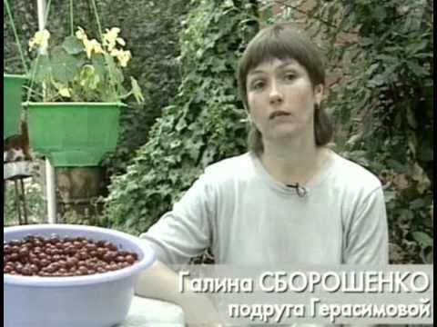 Криминальная Россия - Люди исчезают в полдень