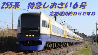 255系　特急しおさい6号　東京行き