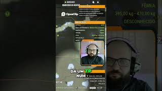 Zonas Mortas NO MAPA...Resolva Isso!  #thehunter #gameplay #thehuntercallofthewildbrasil #games