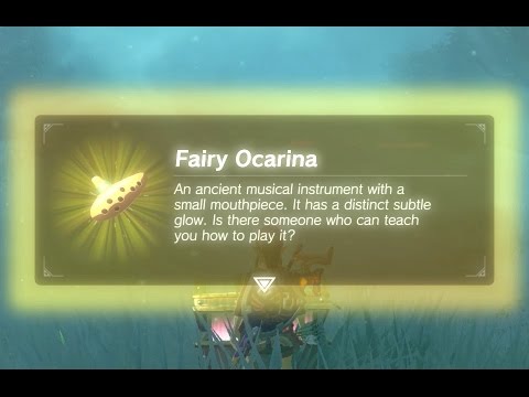 Mr Hero - Fairy Ocarina in the Lost Woods