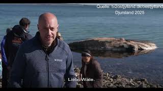 Die letzte Reise. Eine Dokumentation aus Dänemark am Følle Strand 2025