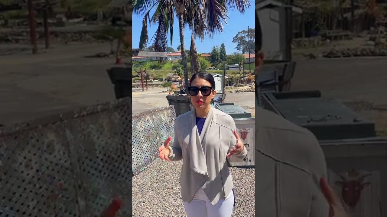 What's happened to Sunshine Gardens nursery?  | Encinitas, CA