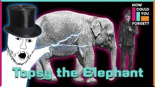 How Could You Forget: Topsy the Elephant