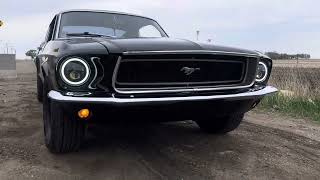 Black 1968 Mustang Fastback