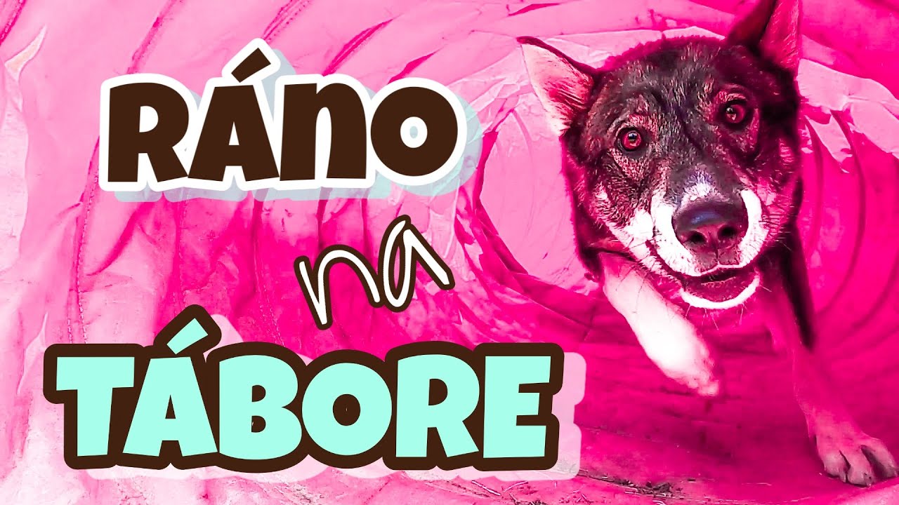 TÁBOR SO PSOM - VLOG z rannej rutiny