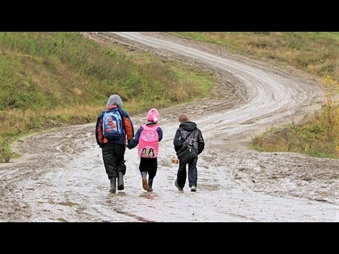 В Сургуте решают вопрос доставки детей в школу из дачного посёлка