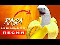 БАНАН ПОЖИРАТЕЛЬ SCP в реальной жизни! Песня Клип про Banana eater | Rasa Пчеловод Пародия