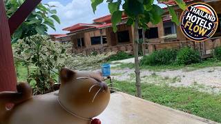 Brand new wooden tiny house in Phayao (Faknum) | Phayao, Thailand | Hotel Review 🏨