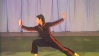 Beijing Wushu Team - Basics(part 2)