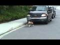 Maggie Skateboarding