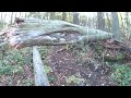 Amade vártól a Sólyom-kőig