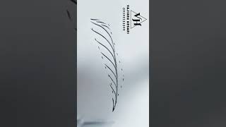 Celebrity Boldbrowse Pattern Training Wealth