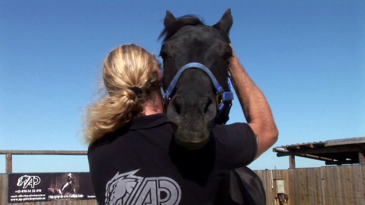 Chiropractic at the Cutting Edge