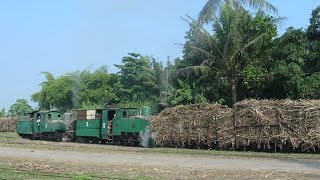 Sragi Sugar Mill, Central Java, Indonesia - Double Headers