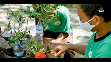 Profil Sekolah Adiwiyata SMPN 1 Kedungpring