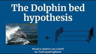 The Dolphin Bed Hypothesis