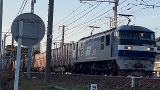 JR貨物EF210形167号機+コキ104形24B 5074レとJR東海313系5300番台Z2編成+313系5000番台Y108編成　東海道本線安城-西岡崎にて