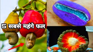 दुनिया के 5 सबसे महँगे और विचित्र फल । Most Expensive Fruits In The World.