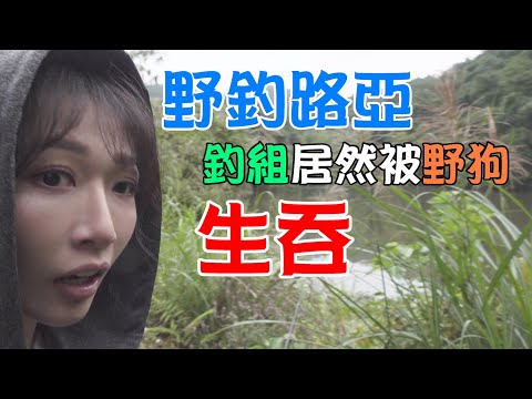 【 釣魚女神系】宜蘭行ep.4 野釣路亞 釣組竟然被野狗生吞 台湾のエビ Shrimp fishing in Taiwan 대만에서 낚시