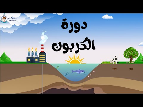 دورة الكربون في الطبيعية