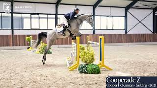 Cooperade Z