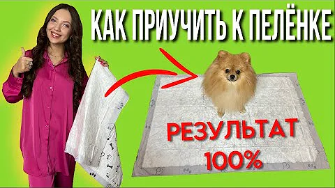 Как приучить щенка к пеленке / результат 💯 #моисобаки