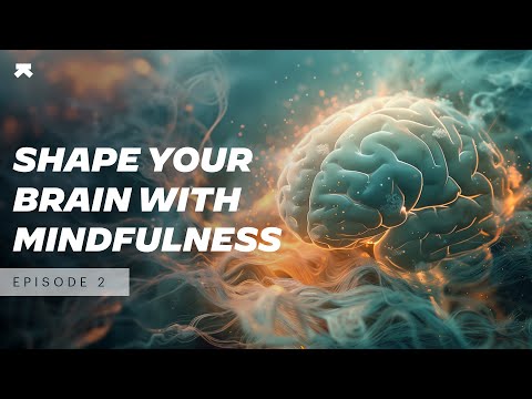 Shape your Brain with Mindfulness | Under 3 Minutes