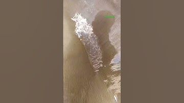 Cá Lớn - bẫy đàn Cá Nhỏ bằng mảnh vải quá dễ 😱 #khacthuyvlogg