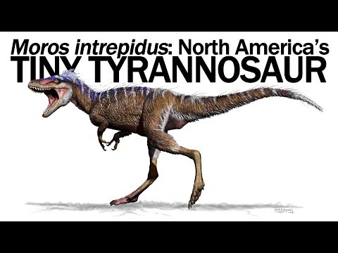 Moros intrepidus: North America's Tiny Tyrannosaur