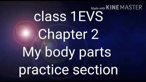 Class 1 EVS CH-2 my body parts practice session