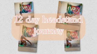 I learnt a headstand in 12 days